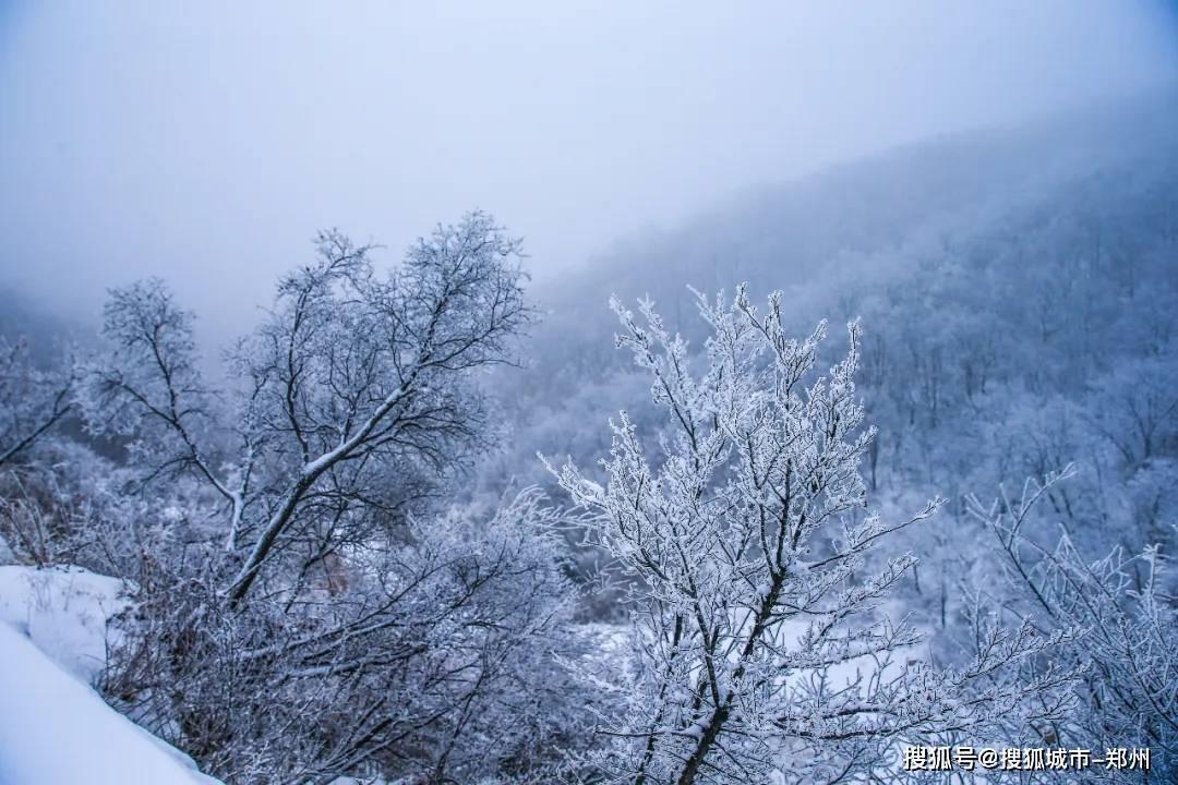 “陆”养禾花鱼 “富”收池中物