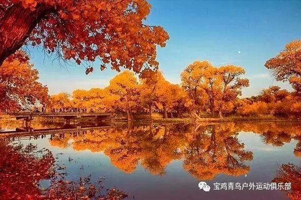 小猫钓鱼正版下载中文版