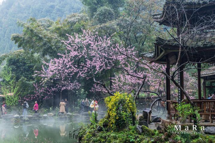 中桶肥料称重灌装机 玻璃水灌装机 车用尿素灌装机