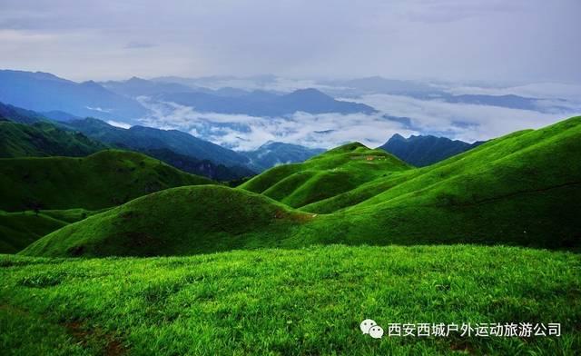 双色球第24014期晒票欣赏，仅供娱乐，请大家理性看待